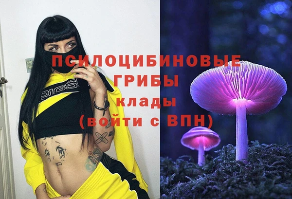 Альфа ПВП Осинники