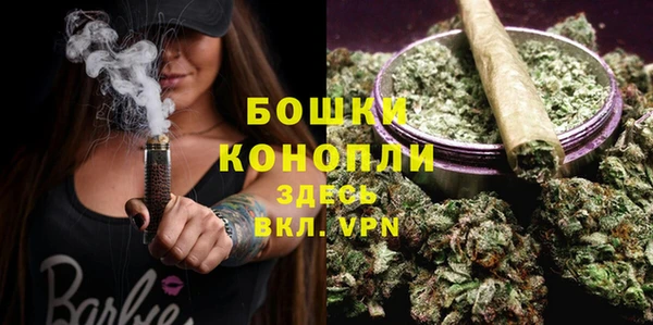 Альфа ПВП Осинники